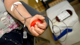 Governo de SP chama atenção para estoque baixo de sangue nos hemonúcleos