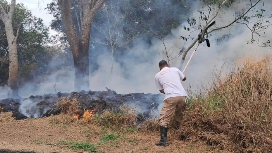 Área de 22 hectares foi queimada em três dias no Parque do Itaim