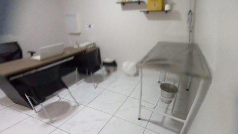 Veterinário para cães idosos em Taubaté: sinais, check-up e cuidados