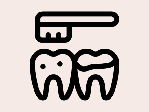 Tratamento Periodontal em Cães e Gatos