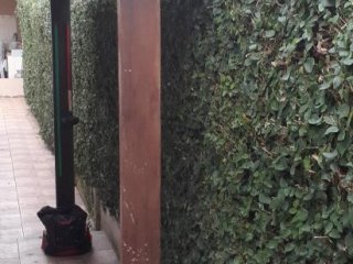 Foto de Brandão Gonçalves - Marido de Aluguel