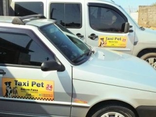 Foto de Táxi Pet 24 Horas