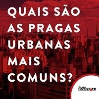 Foto de Portal Dedetizadora