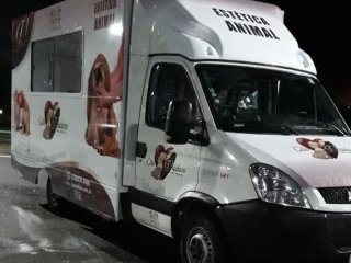 Foto de Cão Vaidoso Taxi Dog e Pet Móvel - Banho e Tosa