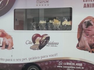Foto de Cão Vaidoso Taxi Dog e Pet Móvel - Banho e Tosa