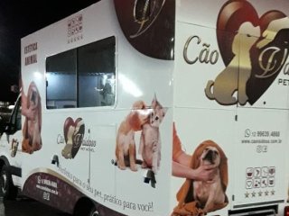Foto de Cão Vaidoso Taxi Dog e Pet Móvel - Banho e Tosa