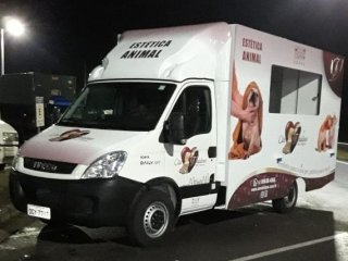 Foto de Cão Vaidoso Taxi Dog e Pet Móvel - Banho e Tosa