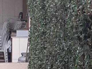 Foto de Brandão Gonçalves - Marido de Aluguel