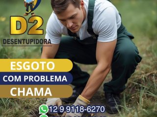 Foto de D2 Desentupidora