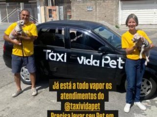 Foto de Táxi Vida Pet