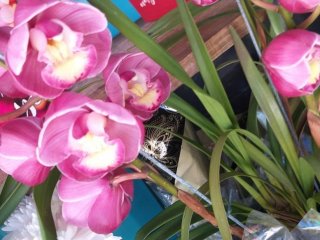 Foto de Flores Fujimoto Container