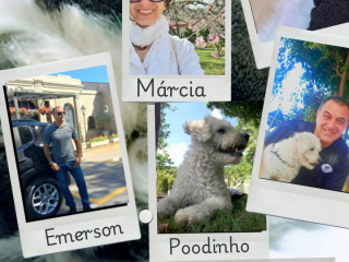Foto de Táxi Vida Pet