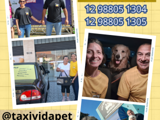 Foto de Táxi Vida Pet