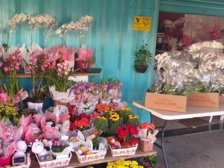 Foto de Flores Fujimoto Container