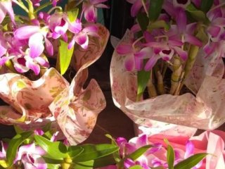 Foto de Flores Fujimoto Container