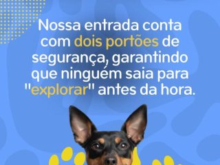 Foto de Pet Hotel do Conde