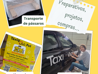Foto de Táxi Vida Pet
