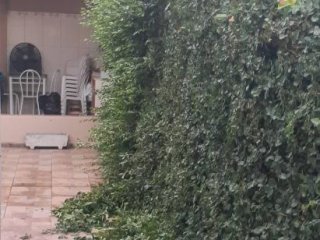 Foto de Brandão Gonçalves - Marido de Aluguel