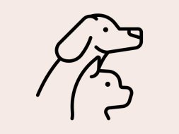 Oftalmologia Veterinária