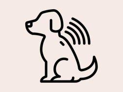 Microchipagem de Cães e Gatos