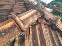 Manutenção Preventiva de Telhado Manutenção Preventiva de Telhado