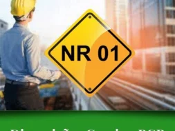 Elaboração de PGR & Treinamento NR-01 – Disposições Gerais e Gerenciamento de Riscos Ocupacionais.