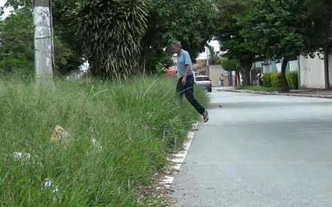 Mato alto atrapalha motoristas e pedestres