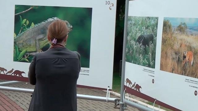 Taubaté recebe exposição sobre fauna na Praça Santa Terezinha