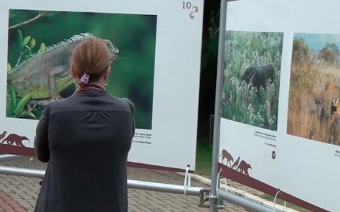 Taubaté recebe exposição sobre fauna na Praça Santa Terezinha