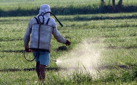 Cine Bate-papo faz alerta sobre alimentação