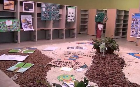Projeto Sala Verde de Taubaté está entre as 100 melhores do país 