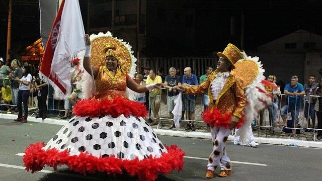 Campeãs encerram Carnaval 2014
