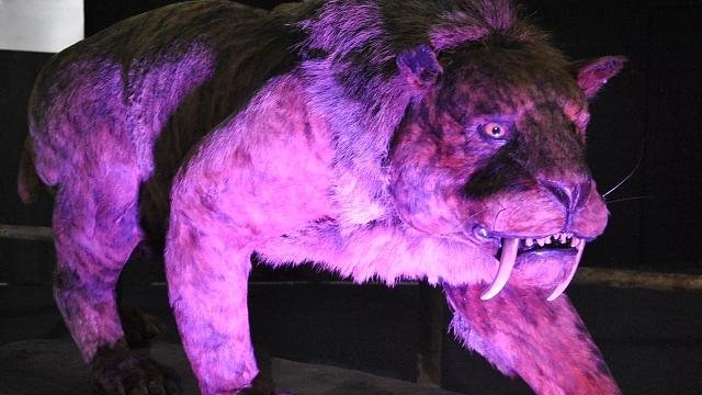 Shopping da cidade recebe exposição "Gigantes da Era do Gelo"