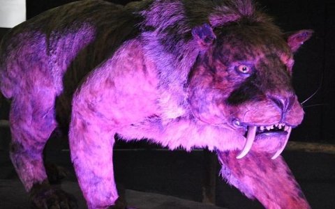 Shopping da cidade recebe exposição "Gigantes da Era do Gelo"