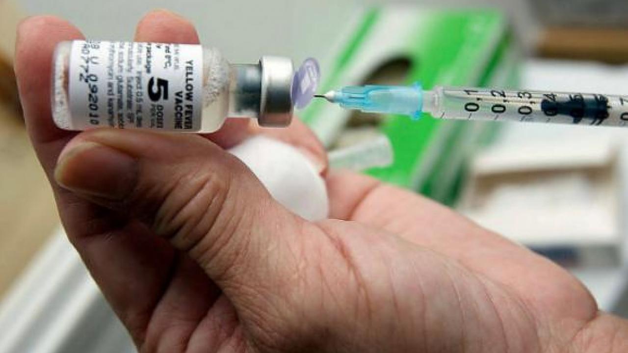 Campanha contra febre amarela é antecipada após atualização da OMS