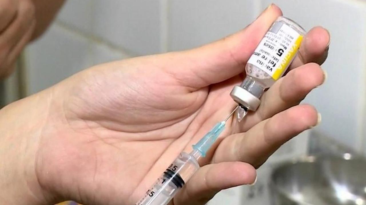 Vacinação contra febre amarela é mantida na praça Dom Epaminondas
