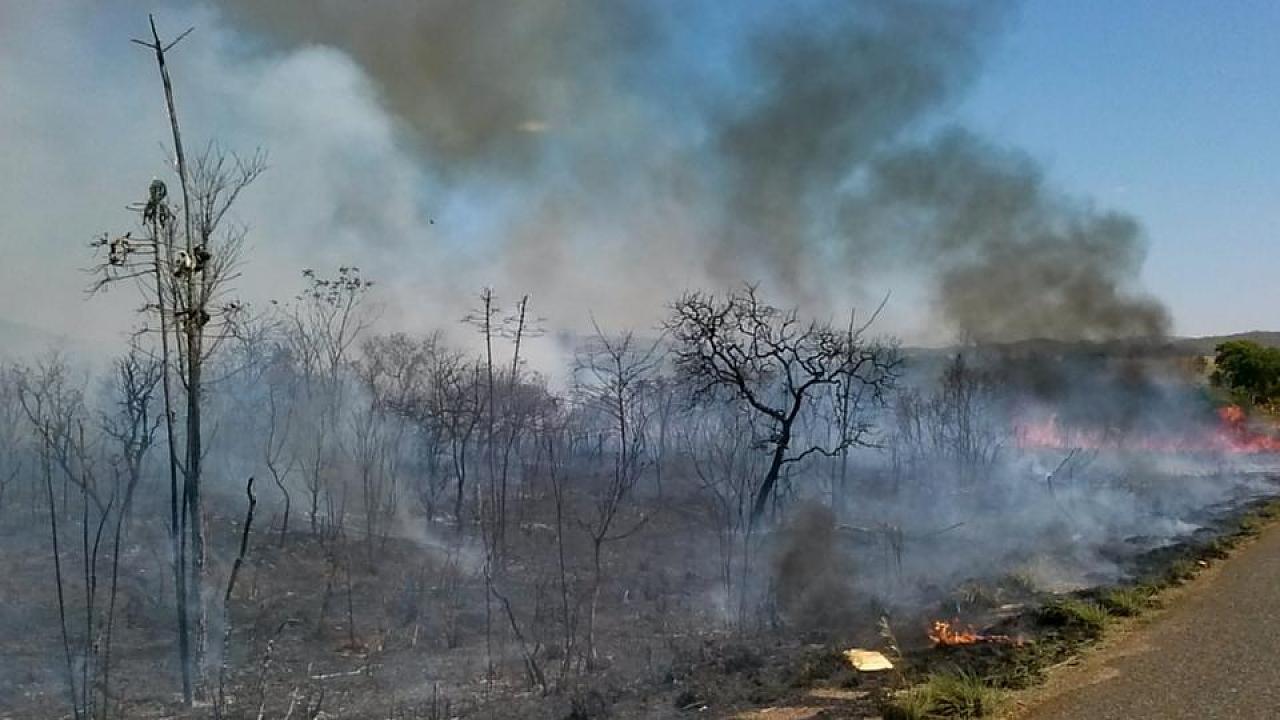 Campanha em Taubaté alerta sobre queimadas 