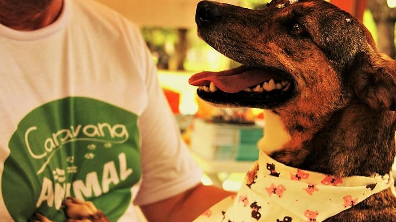 Caravana Animal inicia 2019 com evento no Horto de Taubaté