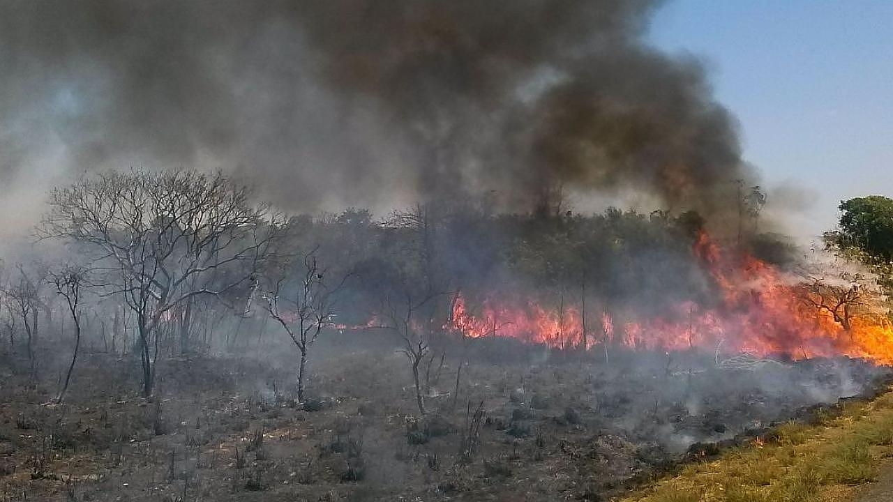 Prefeitura recebe 13 denúncias de queimadas em Taubaté