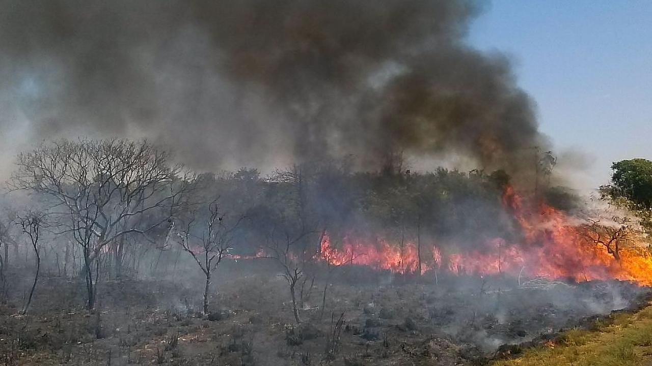 Concessionária alerta motoristas para período de queimadas às margens da Via Dutra