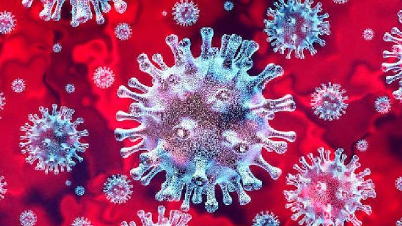 Taubaté registra 3 mortes e 29 novos casos de coronavírus no fim de semana