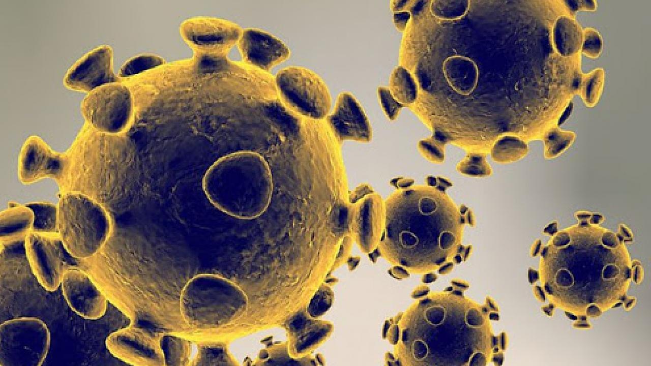 Taubaté confirma 291 novos casos de coronavírus nesta quarta-feira