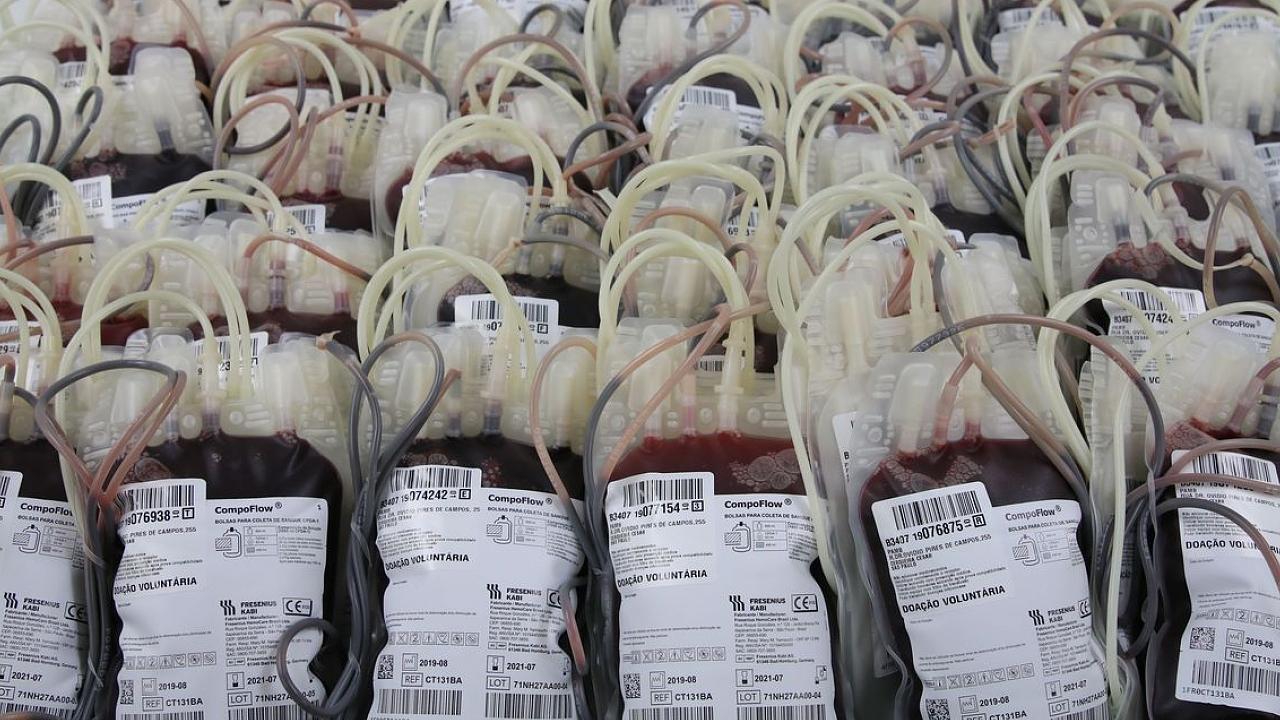 Estoque da Pró-Sangue em São Paulo tem apenas 36% da capacidade