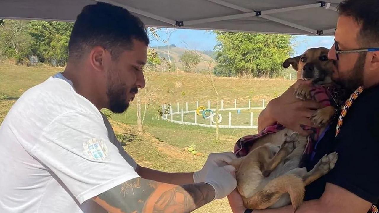 Vacinação antirrábica chega aos bairros Três Marias e Belém Vacinação antirrábica chega aos bairros Três Marias e Belém