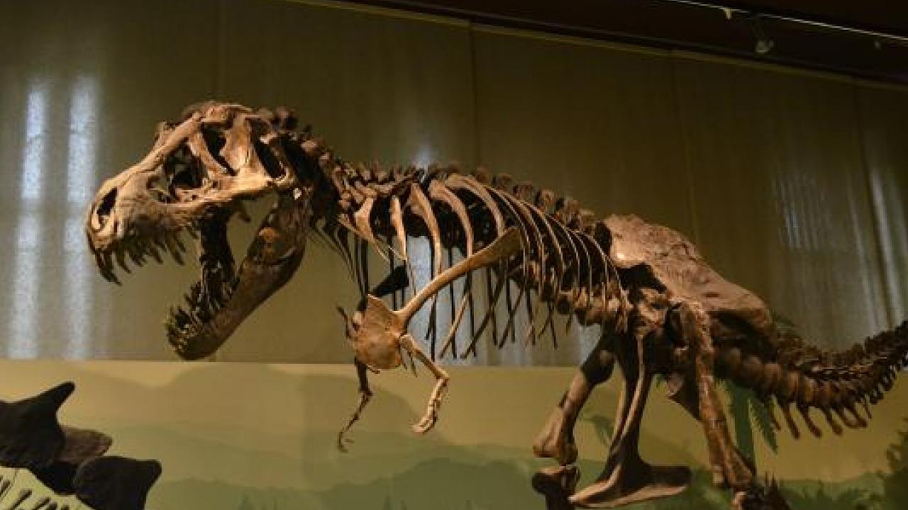 Trilha dos Dinossauros é atração em Taubaté