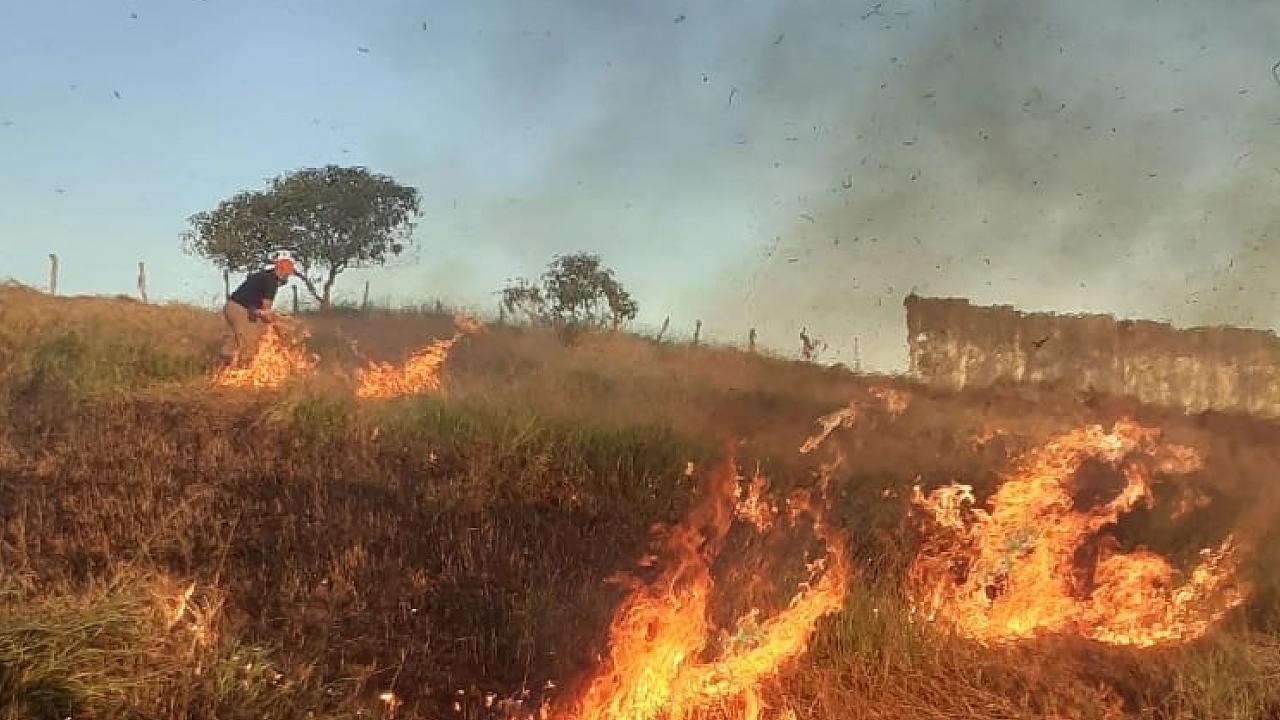 Taubaté mobiliza Defesa Civil após ocorrências de incêndios em vegetação 