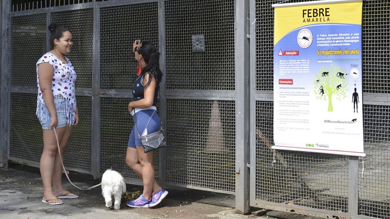 Estado de São Paulo volta a registrar morte por febre amarela após dois anos