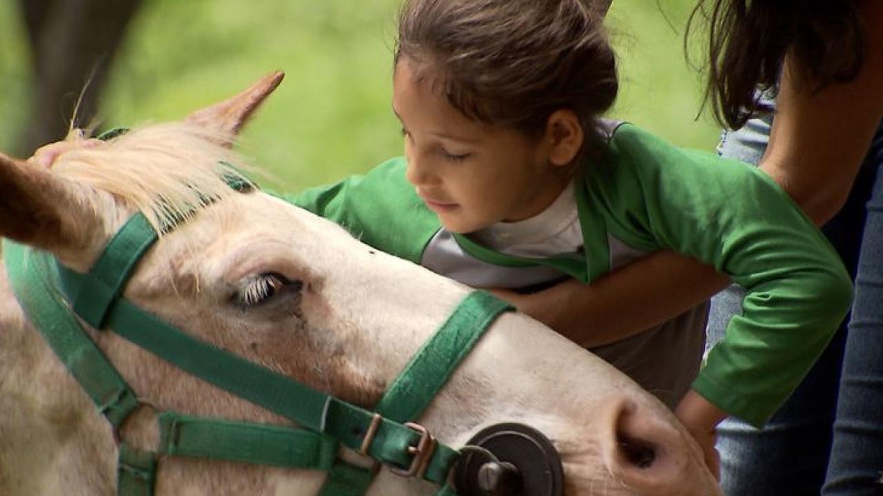 Espaço de equoterapia será entregue em Taubaté Espaço de equoterapia será entregue em Taubaté