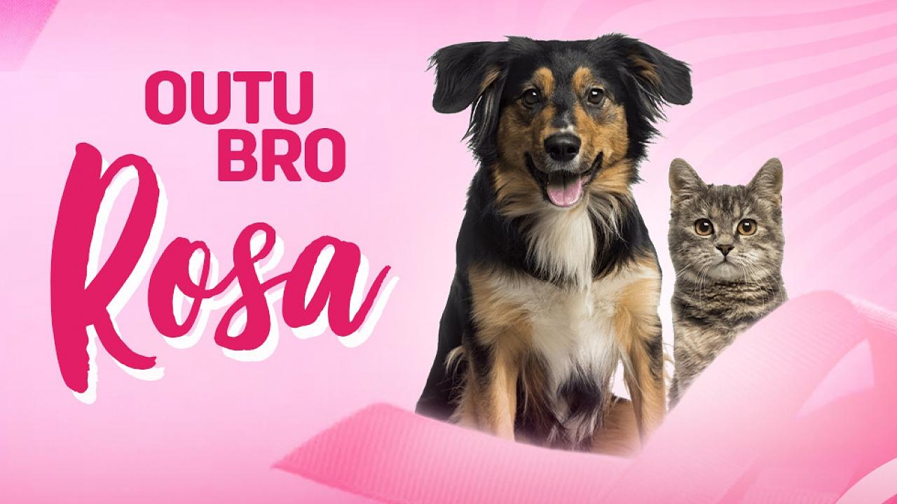 Taubaté promove campanha de prevenção de câncer de mama em animais Taubaté promove campanha de prevenção de câncer de mama em animais