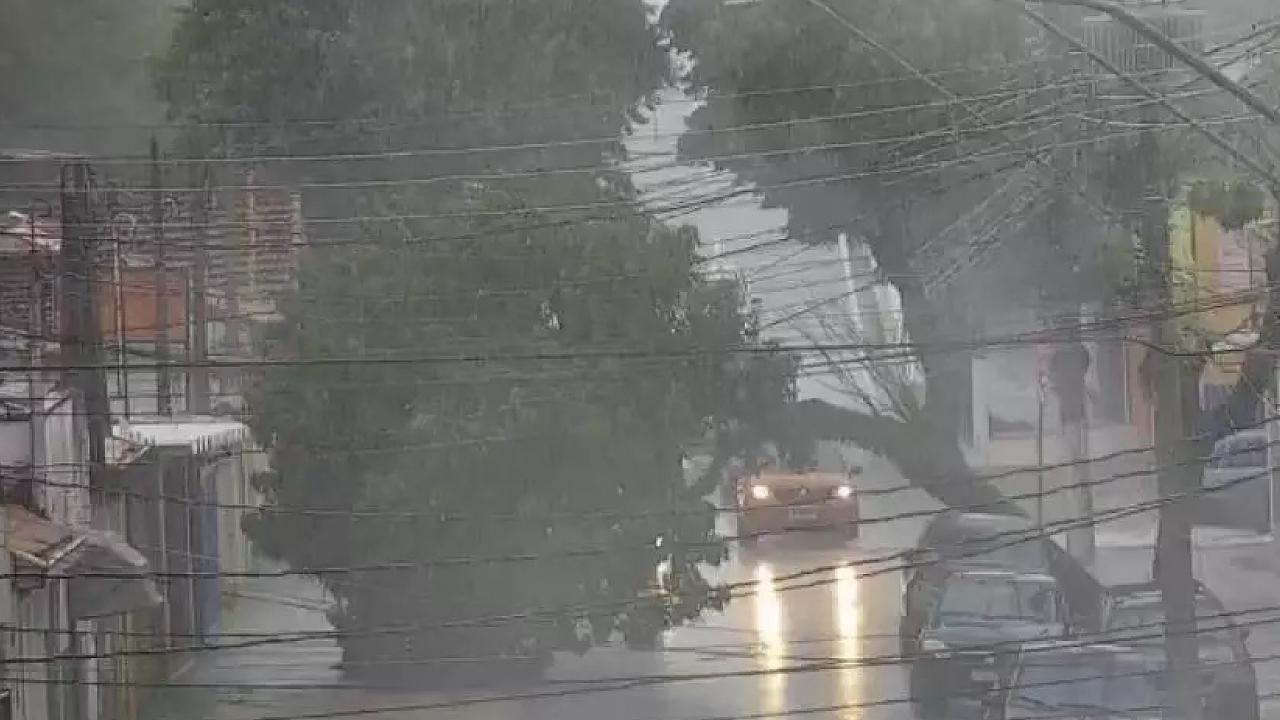 Taubaté registra alagamentos e queda de árvores durante tempestade